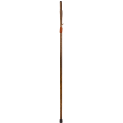 Brazos Walking Sticks™ Free Form Pine Walking Stick, 55", Brown