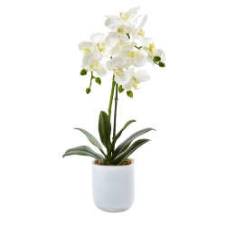 Nearly Natural Phalaenopsis Orchid 18-1/2"H Plastic Floral Arrangement With Frosted Glass Vase, 18-1/2"H x 8"W x 5"D, White