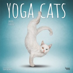 2025 BrownTrout Yoga Cats OFFICIAL Monthly Plastic-Free Square Wall Calendar, 12" x 12", Cats, January to December 2025, 9781975479862