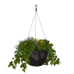 Mayne Caprio Hanging Planter, 9"H, Black