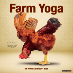 2026 Willow Creek Press Animals Monthly Wall Calendar, 12" x 12", Farm Yoga, January To December, 51092