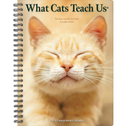 2024 Willow Creek Press Weekly Engagement Planner, 6-1/2" x 8-1/2", What Cats Teach Us, January To December