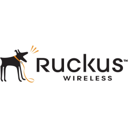 Ruckus Access Point Management - License - 1 access point