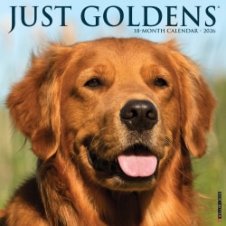 2026 Willow Creek Press Animals Monthly Wall Calendar, 12" x 12", Goldens, January To December, 51320