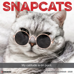 2025 Willow Creek Press Animals Monthly Wall Calendar, 12" x 12", Snapcats, January To December, 44964