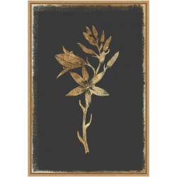 Amanti Art Carmass and Wild Hyacinth Flowers by PI Collection Framed Canvas Wall Art Print, 23"H x 16"W, Maple