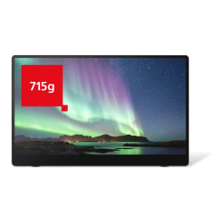 Ricoh 15.6" (16" Viewable) 150BW OLED Monitor, 514910