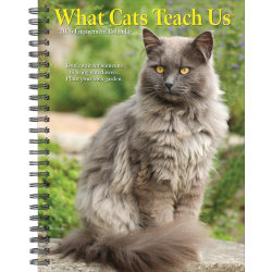 2026 Willow Creek Press Weekly Engagement Calendar, 6-1/2" x 8-1/2", What Cats Teach Us, January To December, 54666