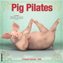 2026 Willow Creek Press Animals Monthly Wall Calendar, 12" x 12", Pig Pilates, January To December, 52389
