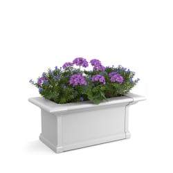 Mayne Yorkshire Window Box Planter, 2', White