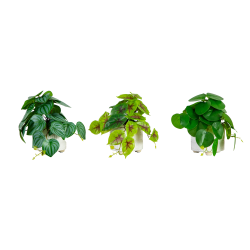 Nearly Natural 8"H Artificial Mixed Greens With Ceramic Planters, 8"H x 6"W x 6"D, Green/White, Set Of 3 Mixed Greens