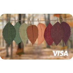 Fall Prepaid Visa, $15.00