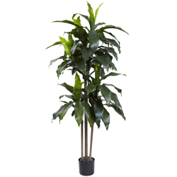 Nearly Natural Dracaena 60"H Plastic UV Resistant Indoor/Outdoor Tree With Pot, 60"H x 31"W x 27"D, Green