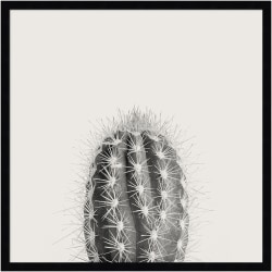 Amanti Art Haze Cactus Succulent Tall by The Creative Bunch Wood Framed Wall Art Print, 25"H x 25"W, Black