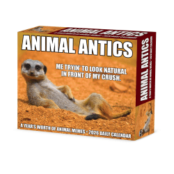 2026 Willow Creek Press Page-A-Day Daily Desk Calendar, 6-1/4" x 5-1/2", Animal Antics, January To December, 55137