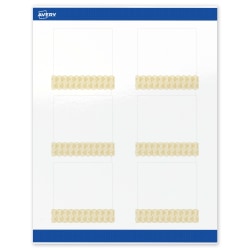 Avery® Printable Labels With Sure Feed® Technology, S00-EX5, Square, 3" x 3", Glossy White With Preprinted Gold Lace Trim Pattern, Pack Of 60
