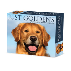 2026 Willow Creek Press Page-A-Day Daily Desk Calendar, 6-1/4" x 5-1/2", Goldens, January To December, 54192