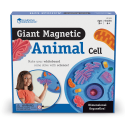 Learning Resources Giant Magnetic Animal Cells