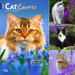 2025 BrownTrout Cat Lovers Monthly Plastic-Free Square Wall Calendar, 12" x 12", Cats, January to December 2025, 9781975476793