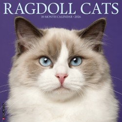 2026 Willow Creek Press Animals Monthly Wall Calendar, 12" x 12", Ragdoll Cats, January To December, 52549