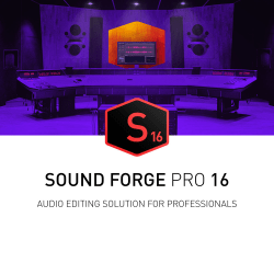 Sound Forge Pro - (v. 15) - box pack - DVD, download - Win - English