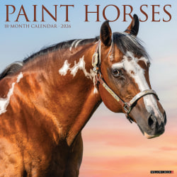 2026 Willow Creek Press Animals Monthly Wall Calendar, 12" x 12", Paint Horses, January To December, 52297