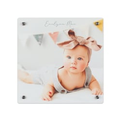 Custom Full-Color Aluminum Composite Metal Photo Panel With Brushed Silver Stand-Off Mounting Hardware, 12" x 12"