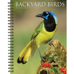 2026 Willow Creek Press Weekly Engagement Calendar, 6-1/2" x 8-1/2", Backyard Beauties, January To December, 54574