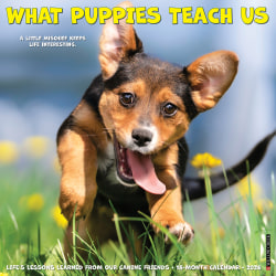 2026 Willow Creek Press Animals Monthly Wall Calendar, 12" x 12", What Puppies Teach Us, January To December, 53225