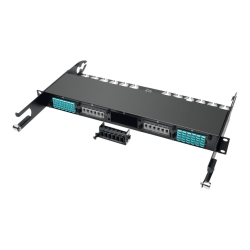 Eaton Tripp Lite Series 100Gb/120Gb Pass Through Cassette (x6) 24-Fiber MTP/MPO Coupler - Fiber optic cassette - MTP/MPO X 24 - black