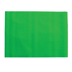 Learning Resources® Quick Stick® Instant Flannel Board, 20" x 27", Green