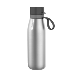 Philips GoZero Everyday Insulated Stainless-Steel Water Bottle With Filter, 32 Oz, Silver