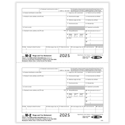 ComplyRight® W-2 Tax Forms, Employee’s Copy C and/or State, City Or Local Copy 2, 2-Up, 8-1/2" x 11", Pack Of 100 Forms