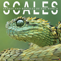 2026 Willow Creek Press Animals Monthly Wall Calendar, 12" x 12", Scales, January To December, 56110