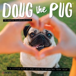 2026 Willow Creek Press Monthly Mini Wall Calendar, 7" x 7", Doug the Pug, January To December, 53560