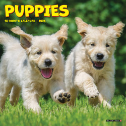 2026 Willow Creek Press Monthly Mini Wall Calendar, 7" x 7", Puppies, January To December, 53737