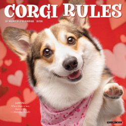 2026 Willow Creek Press Animals Monthly Wall Calendar, 12" x 12", Corgi Rules, January To December, 50828