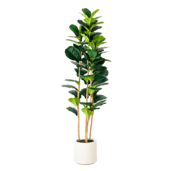 Nearly Natural 6’H Artificial Fiddle Leaf Tree With Decorative Planter, 72"H x 21"W x 21"D, Green/White