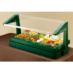Cambro Buffet Bar With Sneeze Guard, 24-1/2"H x 24-1/8"W x 48"D, Green
