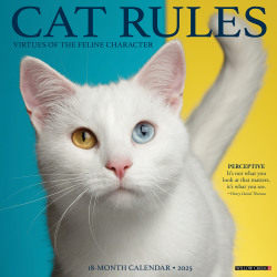 2025 Willow Creek Press Wall Calendar, 12" x 12", Cat Rules, January 2025 To December 2025, 42199