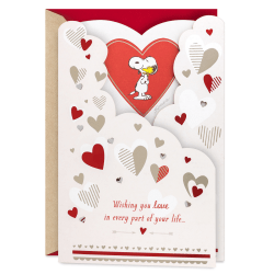 Hallmark Peanuts Valentine's Day Card (Snoopy and Woodstock Glad You're in My Life)
