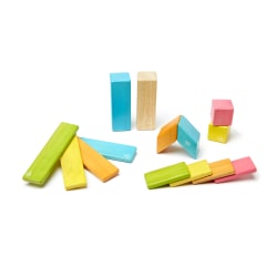 Tegu Magnetic Wooden Blocks, Tints, 14 Pieces