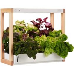 RISE GARDENS Personal Rise Garden Hydroponic System, 16"