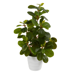 Nearly Natural Peperomia 16"H Artificial Plant With Decorative Planter, 16"H x 6"W x 6"D, Green/White