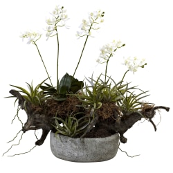 Nearly Natural Orchid & Succulent 20"H Plastic Floral Garden With Driftwood & Decorative Vase, 20"H x 22"W x 16"D, White/Green