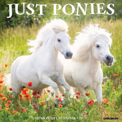 2025 Willow Creek Press Wall Calendar, 12" x 12", Ponies, January 2025 To December 2025, 46807