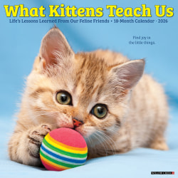 2026 Willow Creek Press Animals Monthly Wall Calendar, 12" x 12", What Kittens Teach Us, January To December, 53201