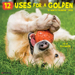 2026 Willow Creek Press Animals Monthly Wall Calendar, 12" x 12", 12 Uses for a Golden, January To December, 49730