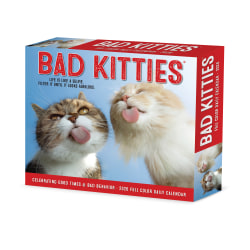 2026 Willow Creek Press Page-A-Day Daily Desk Calendar, 6-1/4" x 5-1/2", Bad Kitties, January To December, 53959