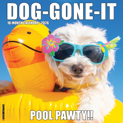 2026 Willow Creek Press Humor & Comics Monthly Wall Calendar, 12" x 12", Dog-Gone-It, January To December, 50996